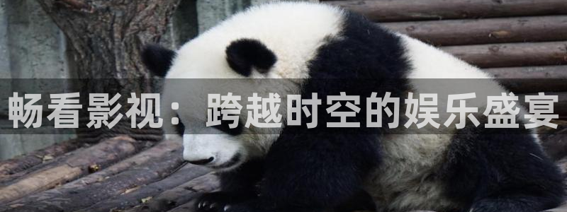 草民看一天影院在线观看：畅看影视：跨越时空的娱乐盛宴