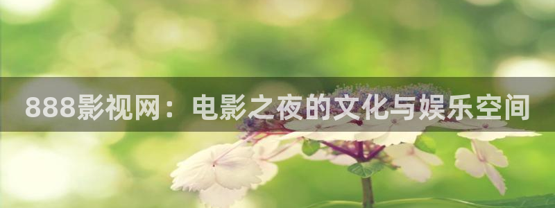 草民影院入口：888影视网：电影之夜的文化与娱乐空间