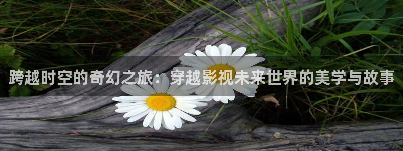 草民电影官方网电视剧：跨越时空的奇幻之旅：穿越影视未来世界的美学与故事