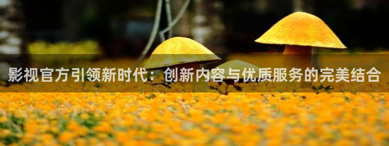 草民电影网看电影：影视官方引领新时代：创新内容与优质服务的完美结合