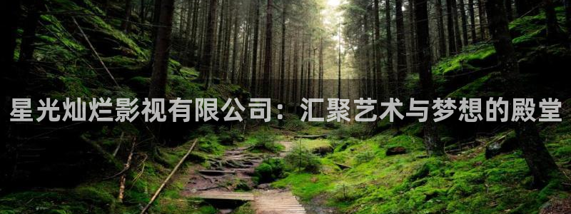 草民网站：星光灿烂影视有限公司：汇聚艺术与梦想的殿堂